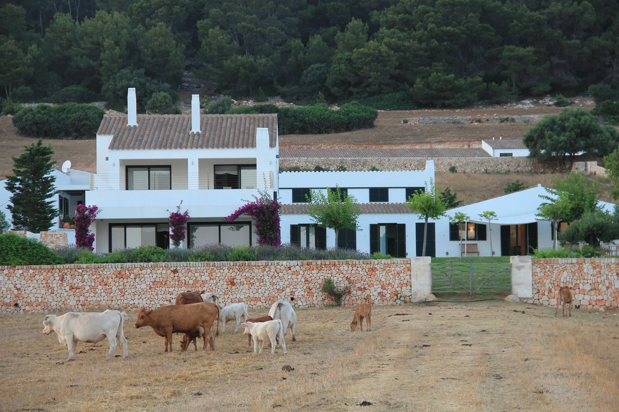 Rusticae Agroturismo Finca Atalis Santo Tomás Kültér fotó