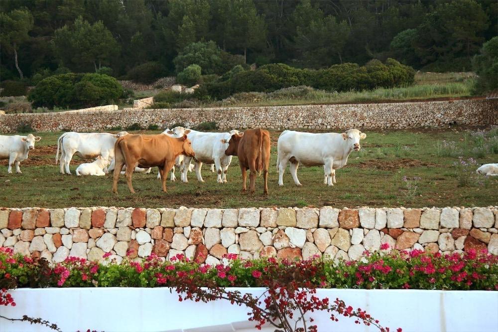 Rusticae Agroturismo Finca Atalis Santo Tomás Kültér fotó